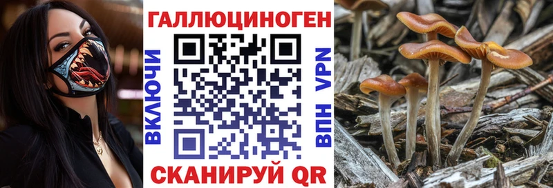Галлюциногенные грибы ЛСД  Купить где  Белёв 